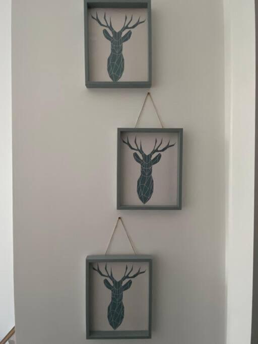 Newly Refurbished Town Centre Apartment Oban Extérieur photo
